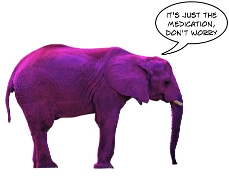 elephant-purple.jpg