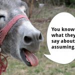 A donkey with a speech bubble talks about assuming.