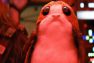The whole internet loves Porgs from the new Last Jedi movie