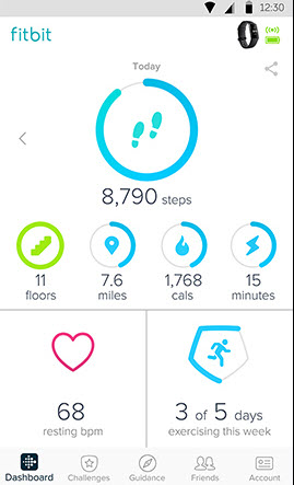 Screenshot of one of FitBit's in-app dashboard