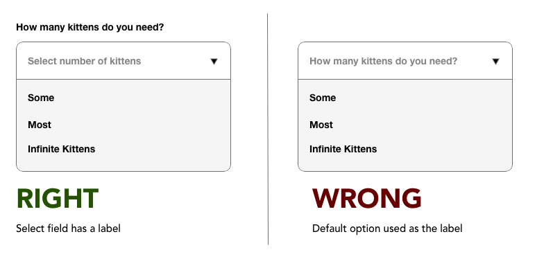 In this example, the selection instructions "how many kittens do you need" is within the text field, which is incorrect. Instead, the description of what this question is looking for should live permanently above the input field.