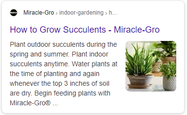 In this example of a search result related to succulents, Google populated the meta description with general text about the best time of year to plant succulents indoors vs. outdoors.
